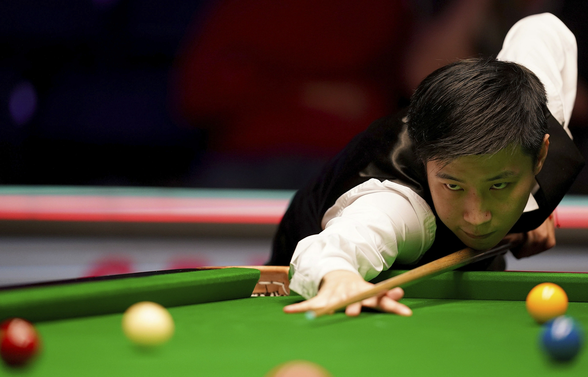 杀创造了条 杀创造了条