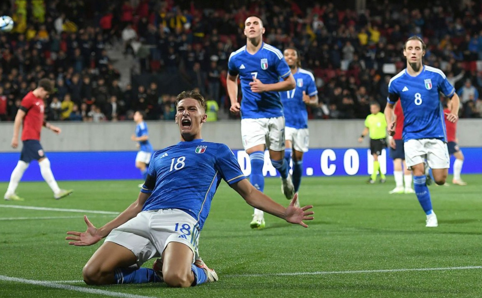 下注至近底 下注至近底